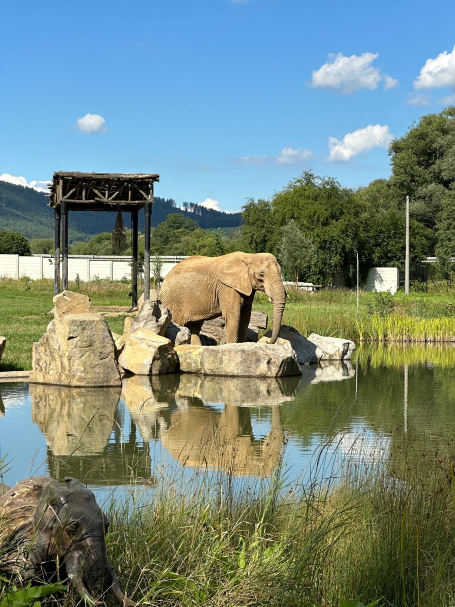 Rezidence Sadova Zlin Lägenhet Exteriör bild